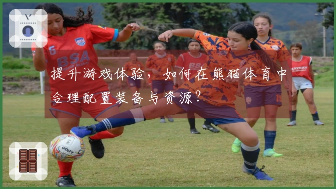 提升游戏体验，如何在熊猫体育中合理配置装备与资源？