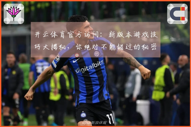 开云体育官方访问：新版本游戏技巧大揭秘，你绝对不能错过的秘密武器！